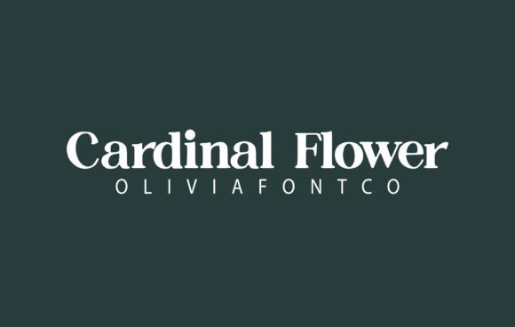 Cardinal Flower: A Romantic Script for Editorial Design
