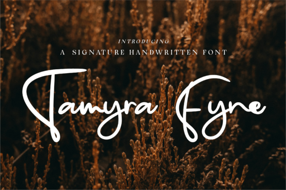 Choosing the Right Font for a Modern Web Design