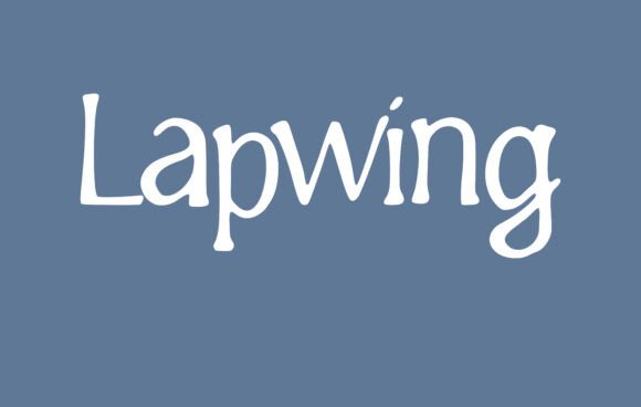 Font Choice That Matters: How Lapwing Elevates Campaign Design