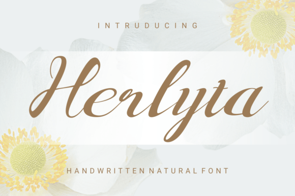 Herlyta